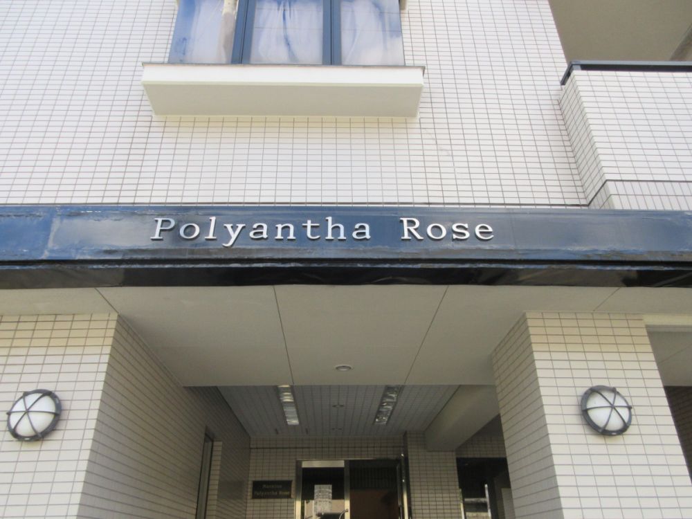 yOρz@