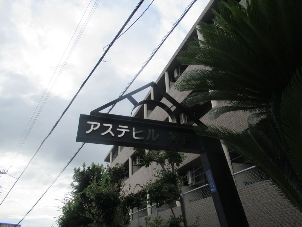 y̑z@