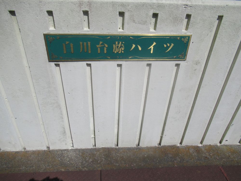 y̑z@