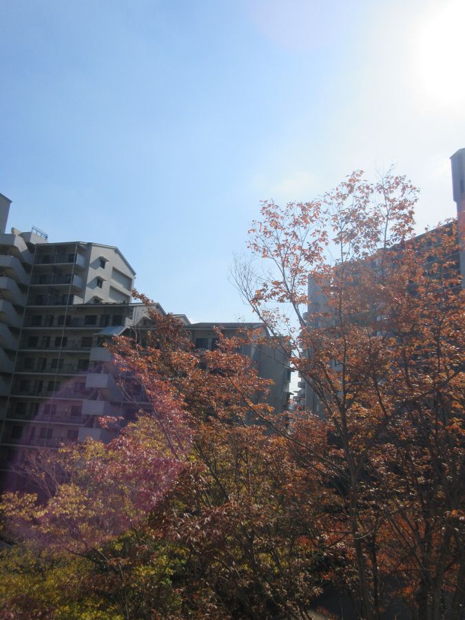 y]z@쑤@]