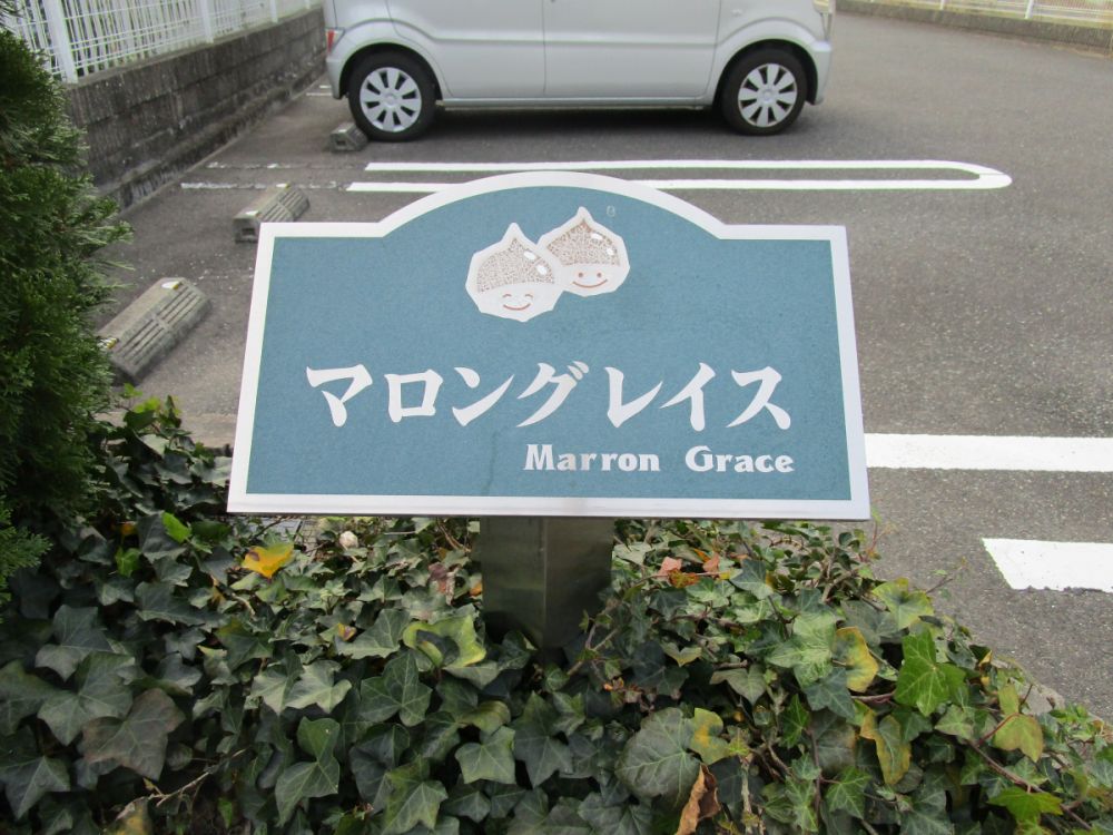 y̑z@