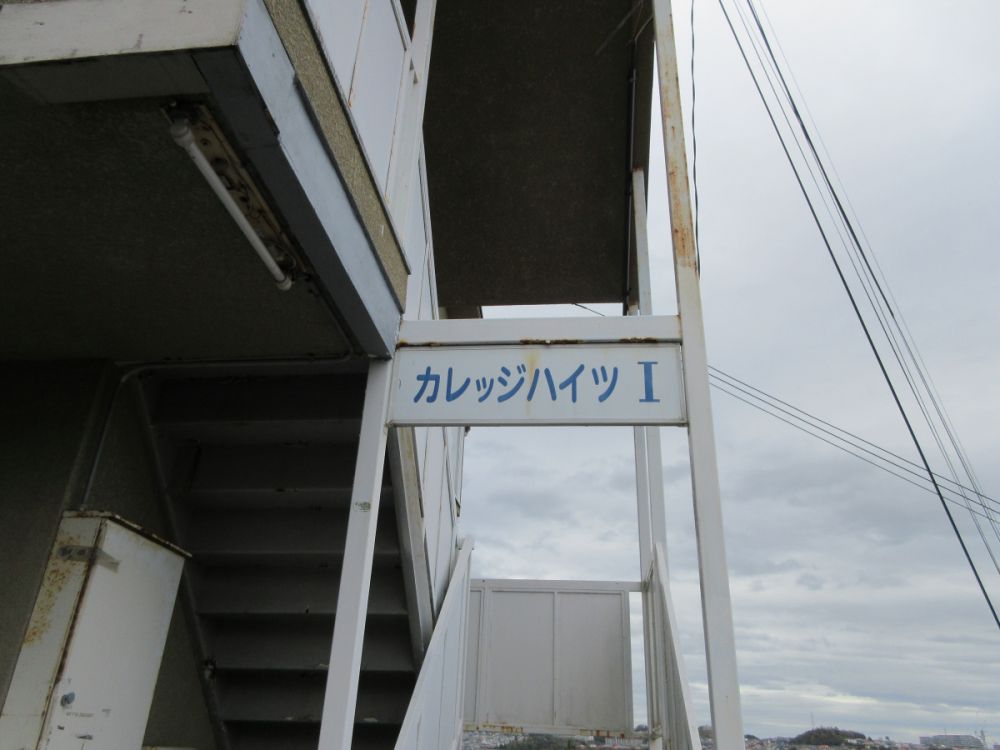 yOρz@