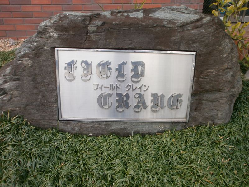 yOρz@