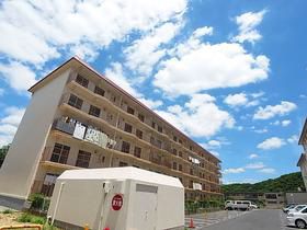 ���Ɍ��_�ˎs�k��b�h��P�̃}���V�����̌����O��