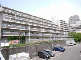 Ɍ_ˎs{엎1ڂ̃}V̌O