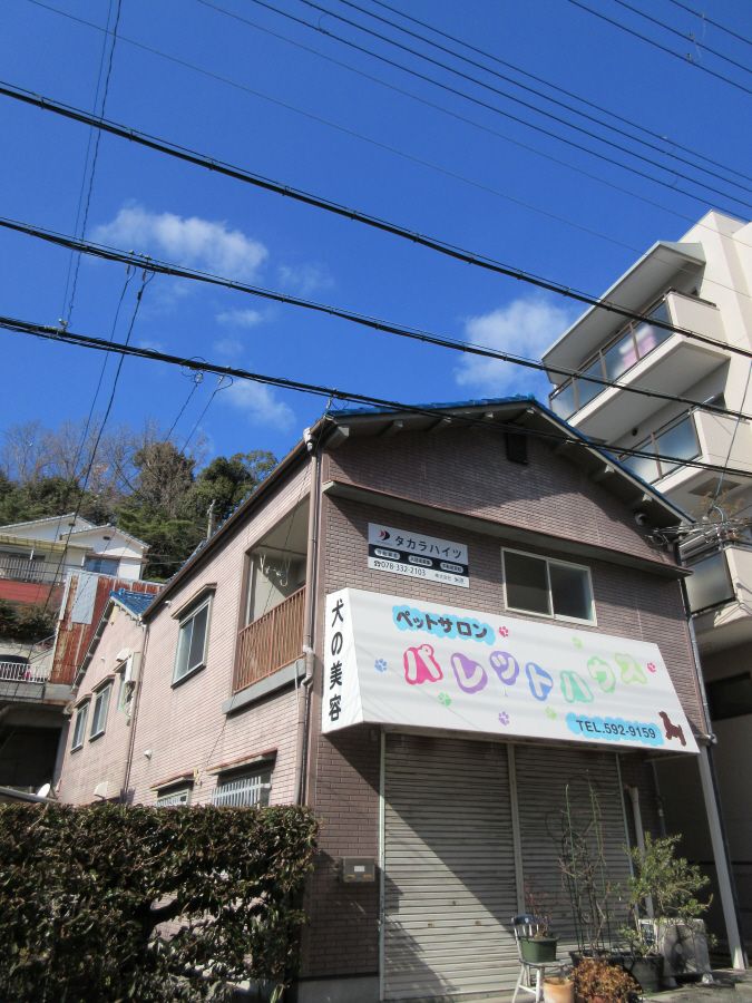 Ɍ_ˎsk闖k4ڂ̃Ap[ǧO