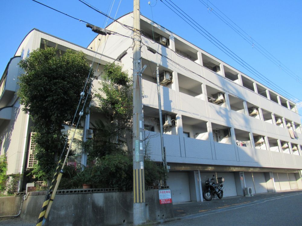 Ɍ_ˎs{攒3ڂ̃}V̌O